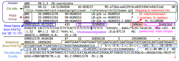 Anatomy of a BAM file. Image from: https://genome.sph.umich.edu/w/index.php?title=SeqShop:_Sequence_Mapping_and_Assembly_Practical,_May_2015&mobileaction=toggle_view_desktop