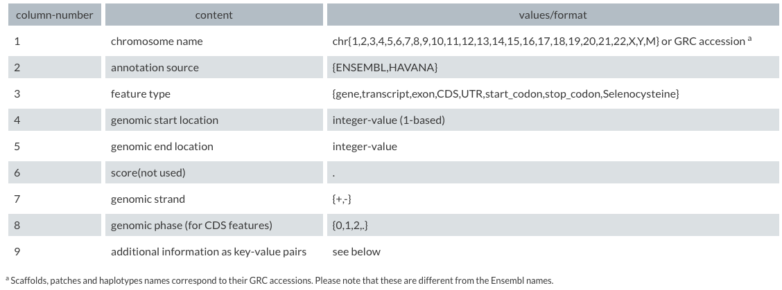 GTFfile column format