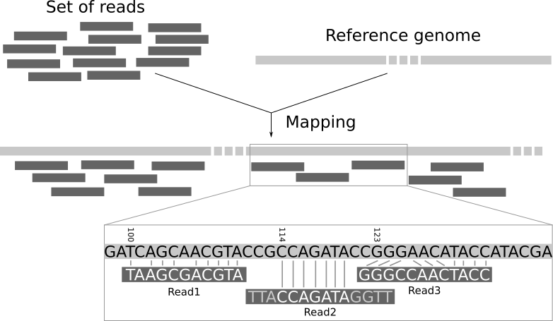 Finding variants